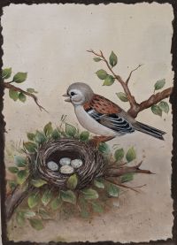 Nesting House Sparrow/Sparrow Series